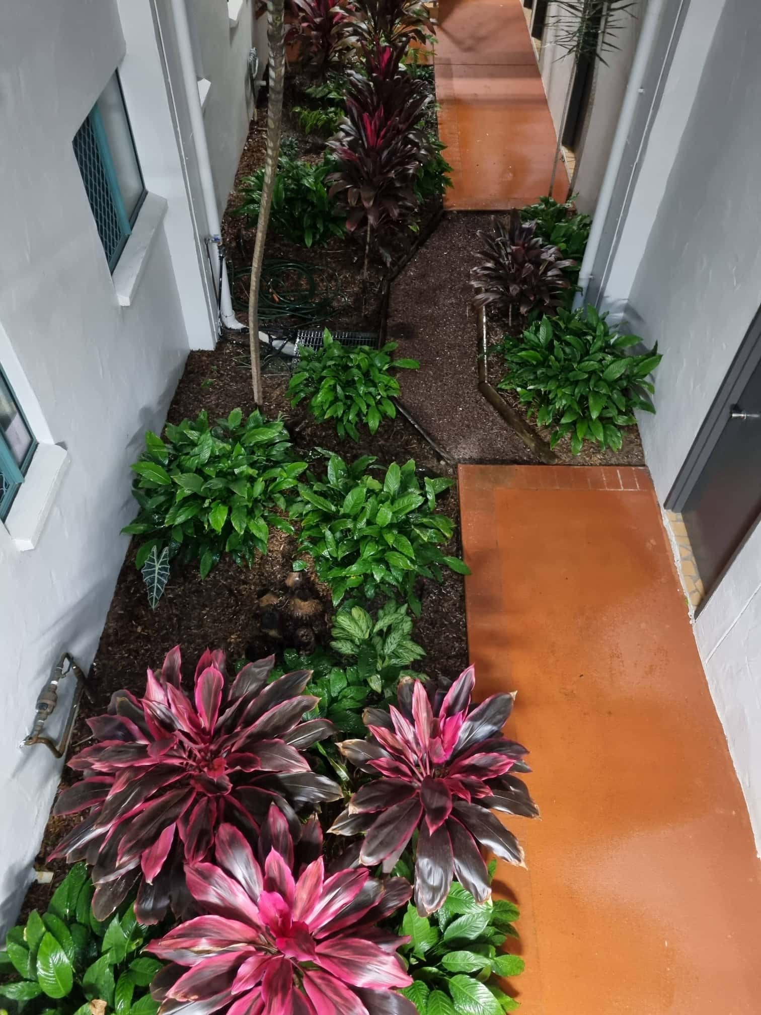 Flowering garden border with lush shrubs and a small pathway
